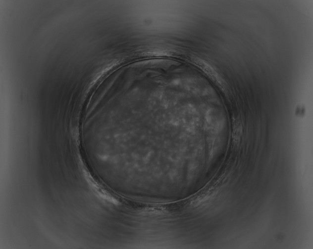 X0000091200386200708301605