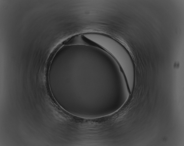 X0000091200387200708301605