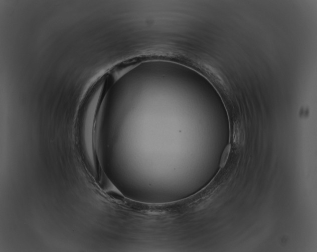 X0000091200388200708301605