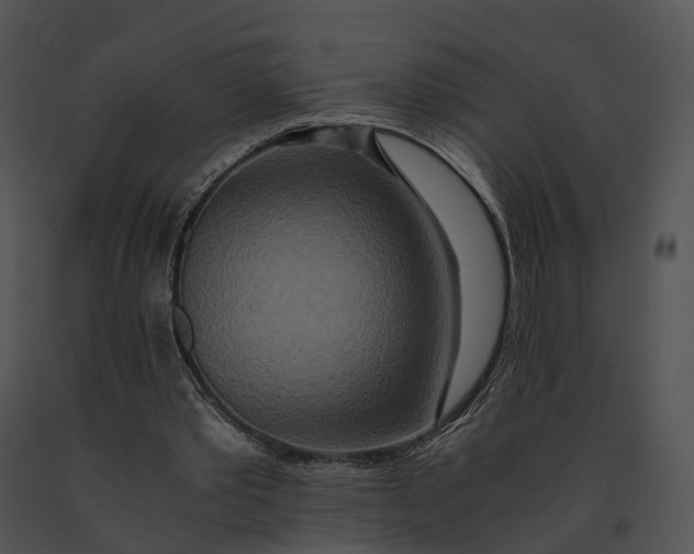 X0000091200389200708301605
