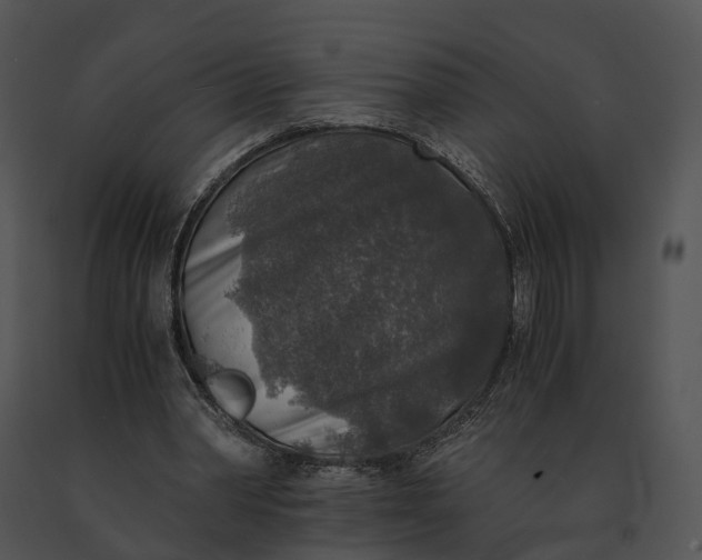 X0000091200390200708301605
