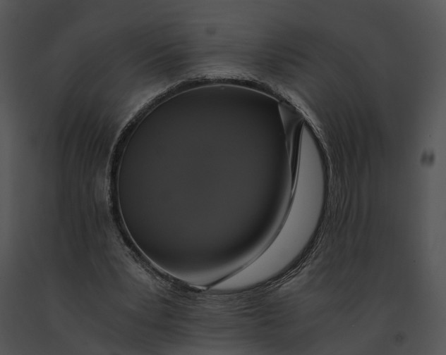 X0000091200391200708301605