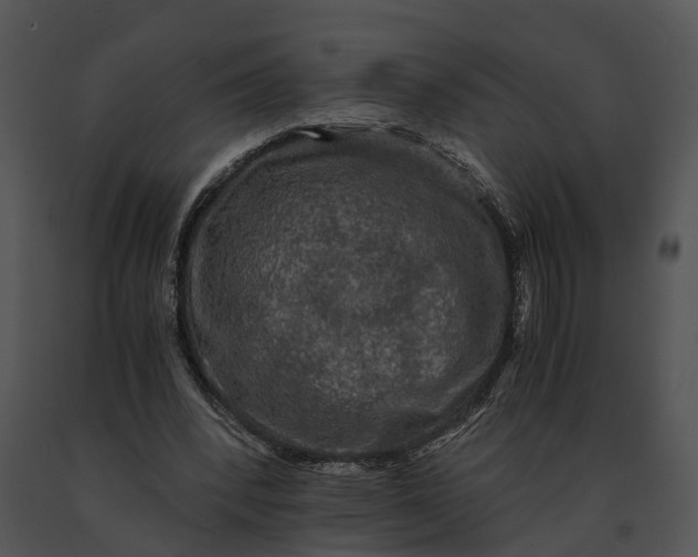X0000091200392200708301605