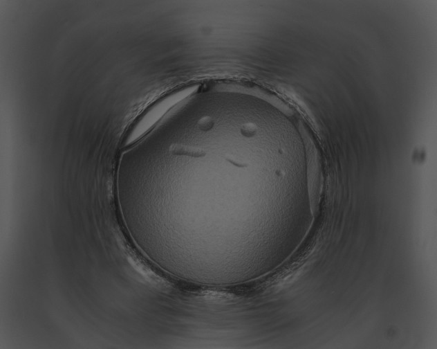 X0000091200393200708301605