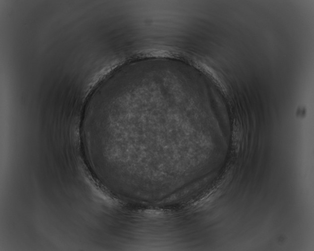 X0000091200394200708301605