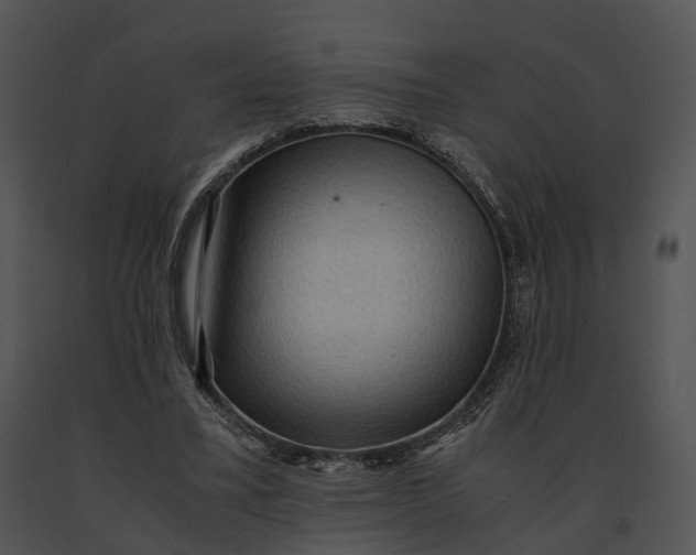 X0000091200395200708301605