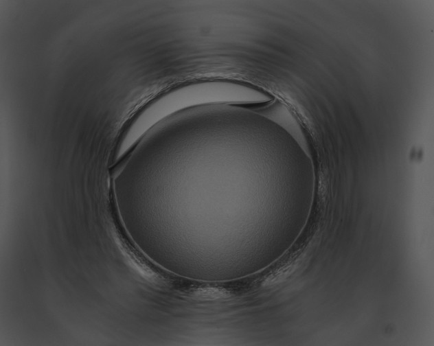 X0000091200397200708301605
