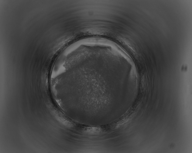 X0000091200398200708301604