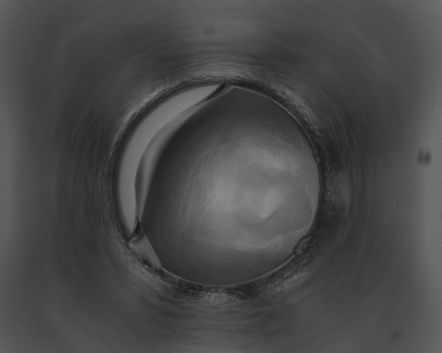 X0000091200399200708301604