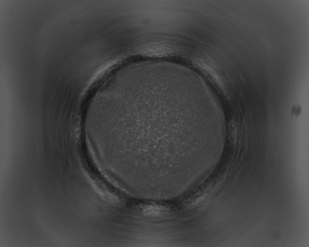 X0000091200400200708301604