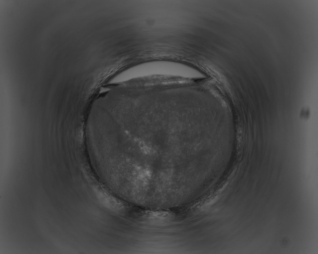 X0000091200401200708301604