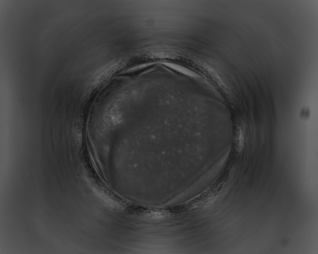 X0000091200402200708301604