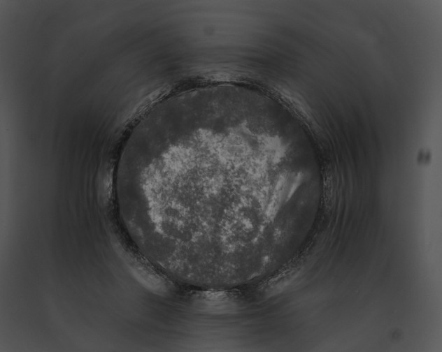 X0000091200406200708301604