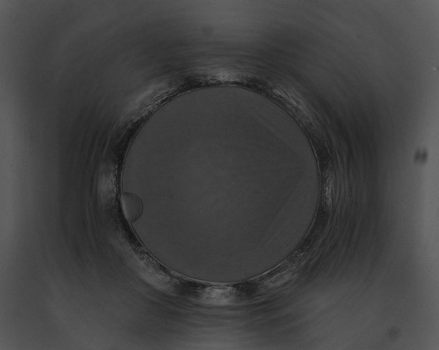 X0000091200410200708301604