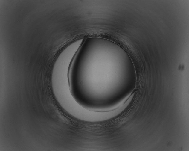 X0000091200411200708301604