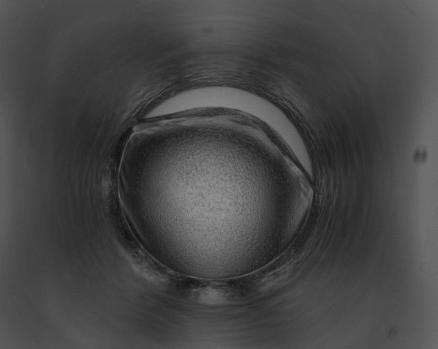 X0000091200412200708301604
