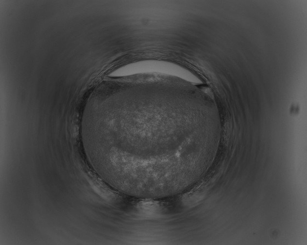 X0000091200413200708301604