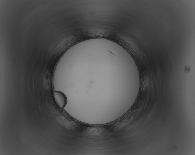 X0000091200414200708301604