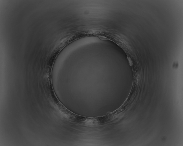 X0000091200415200708301604
