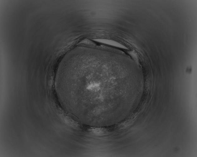X0000091200417200708301604