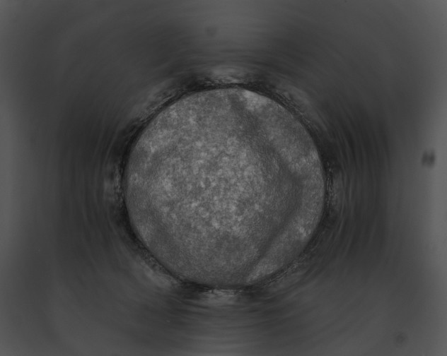 X0000091200418200708301604