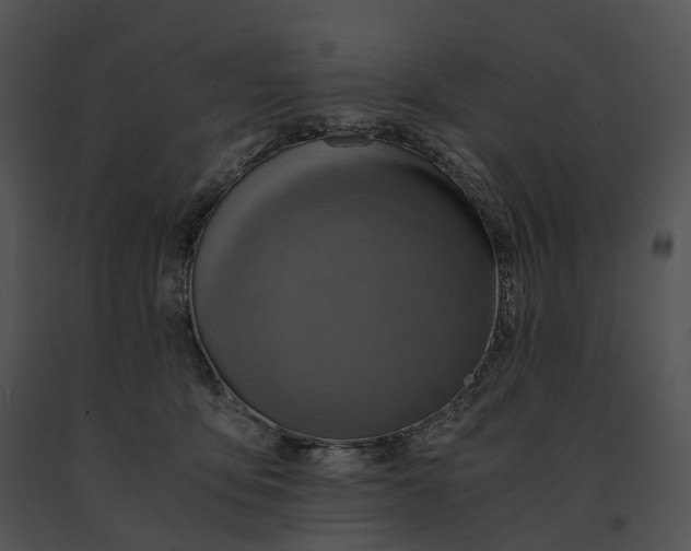 X0000091200419200708301604