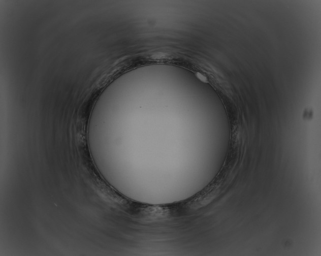 X0000091200421200708301604
