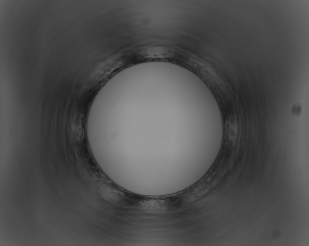 X0000091200422200708301604