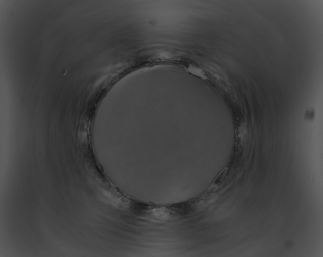 X0000091200423200708301604