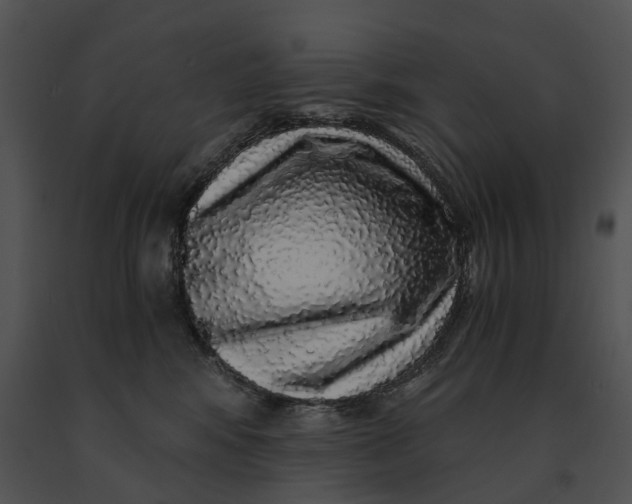 X0000091200424200708301604