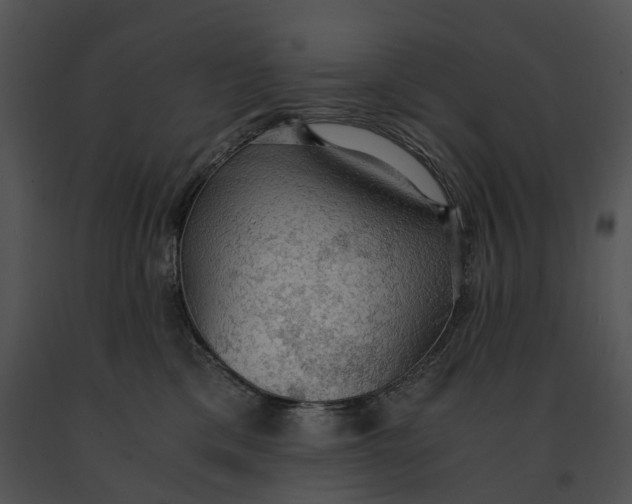 X0000091200425200708301604
