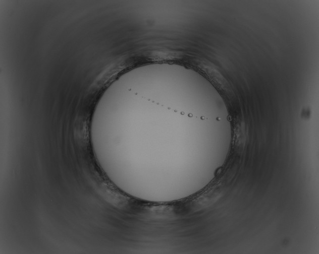 X0000091200426200708301604