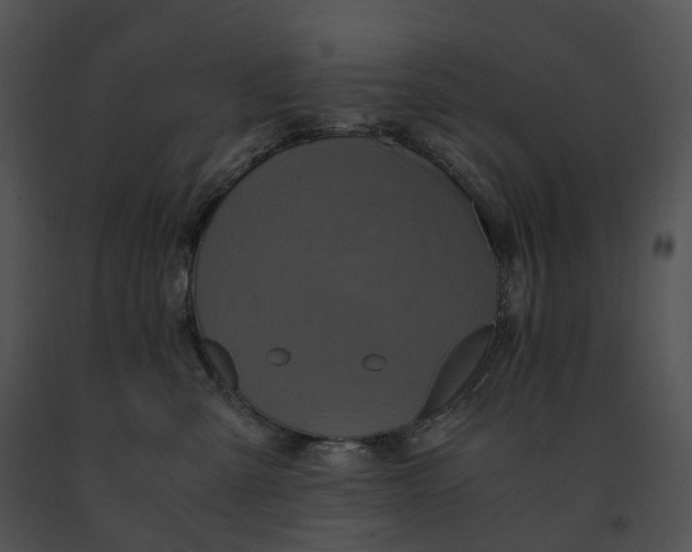 X0000091200427200708301604