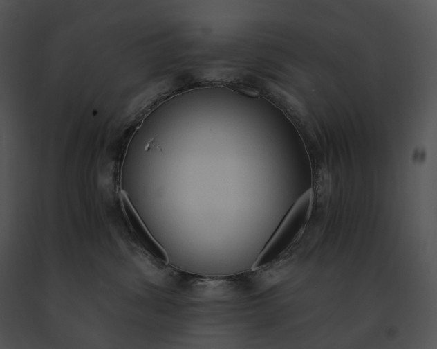 X0000091200428200708301604