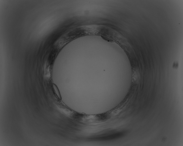 X0000091200431200708301604
