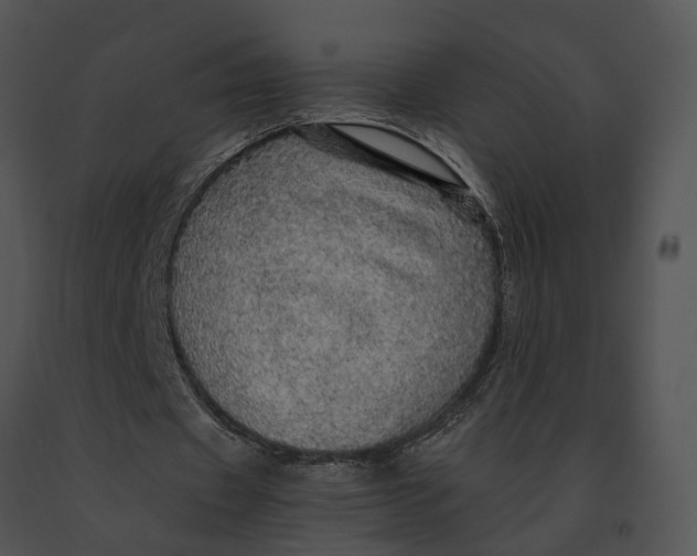 X0000091200433200708301603