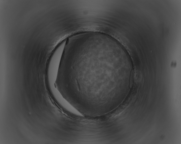 X0000091200434200708301603