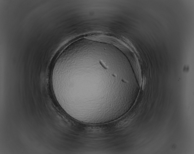 X0000091200435200708301603