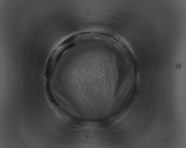 X0000091200436200708301603