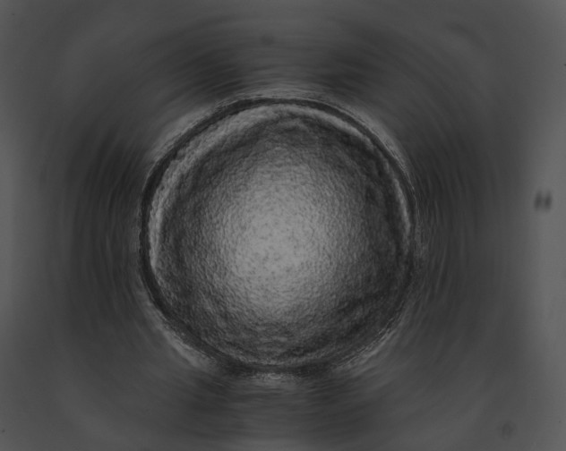 X0000091200437200708301603