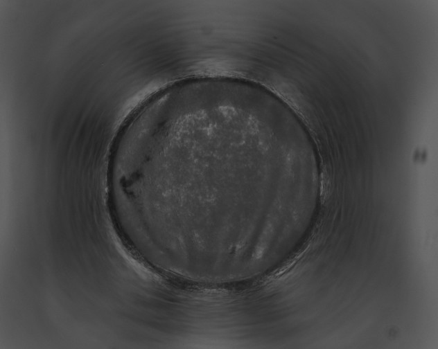 X0000091200438200708301603