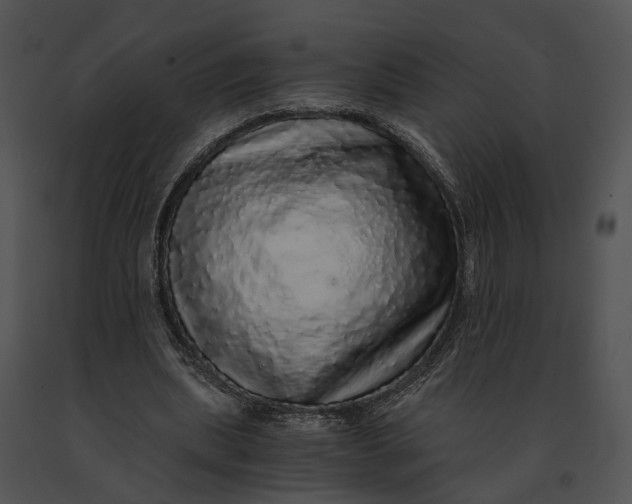X0000091200439200708301603