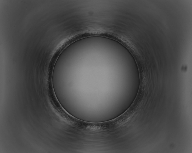 X0000091200440200708301603