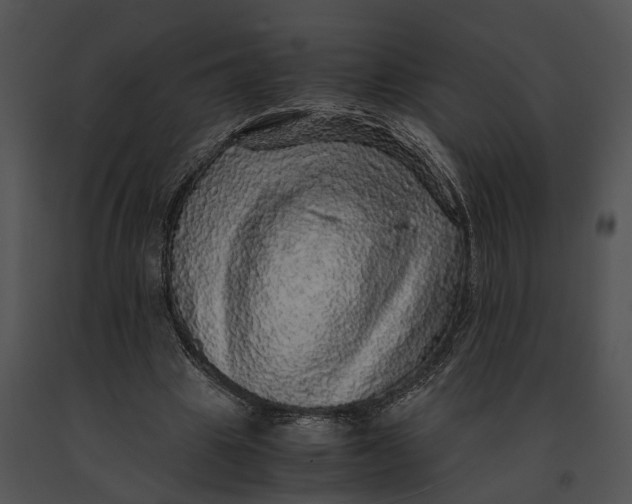 X0000091200441200708301603