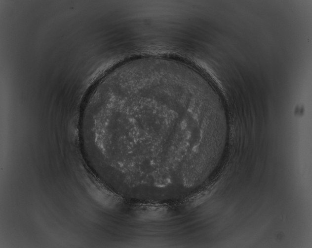 X0000091200443200708301603