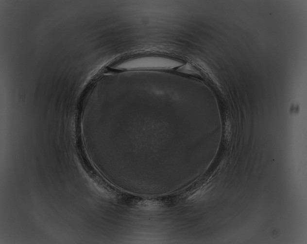 X0000091200444200708301603