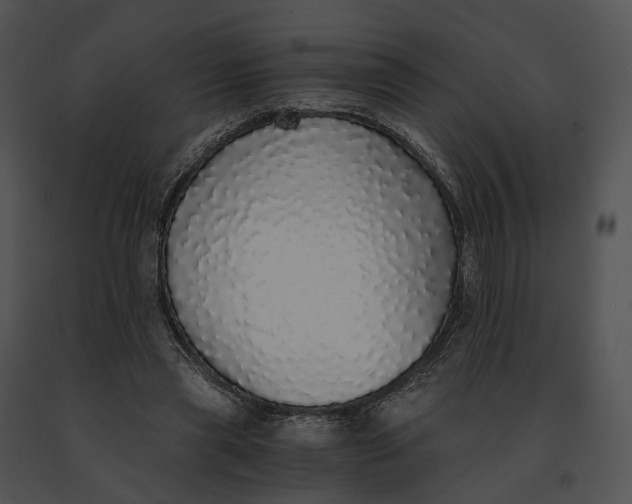 X0000091200445200708301603