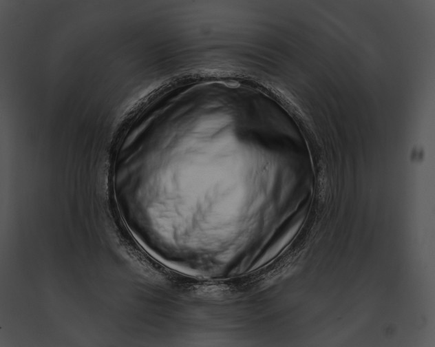 X0000091200446200708301603