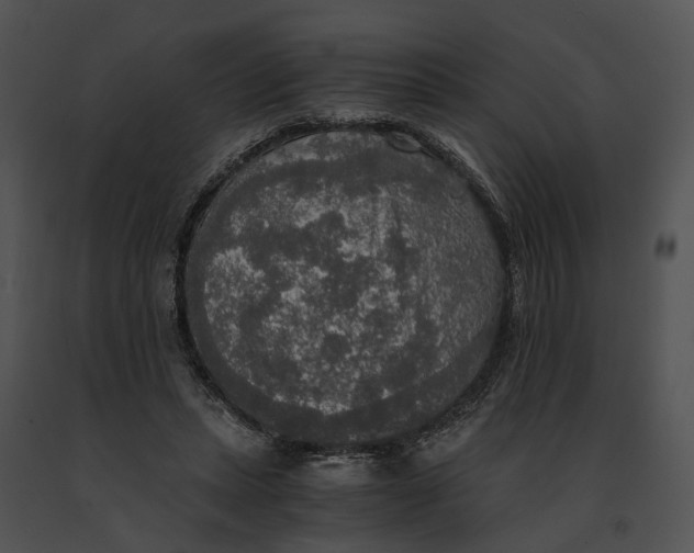 X0000091200447200708301603