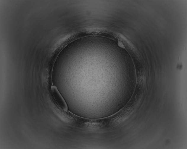 X0000091200448200708301603